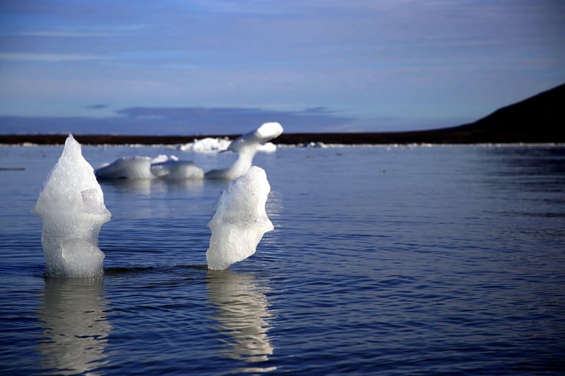 Iceberg Kayaking
