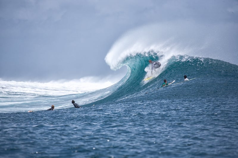Surfing Safari