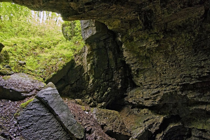 Cave Exploration