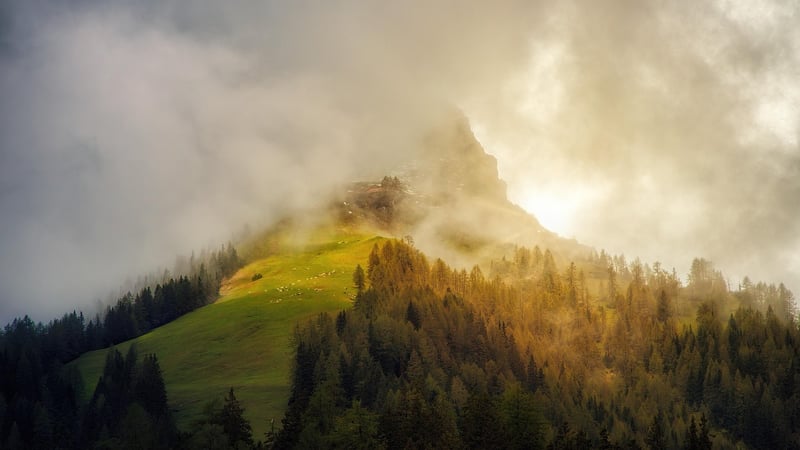 Untamed Wilderness