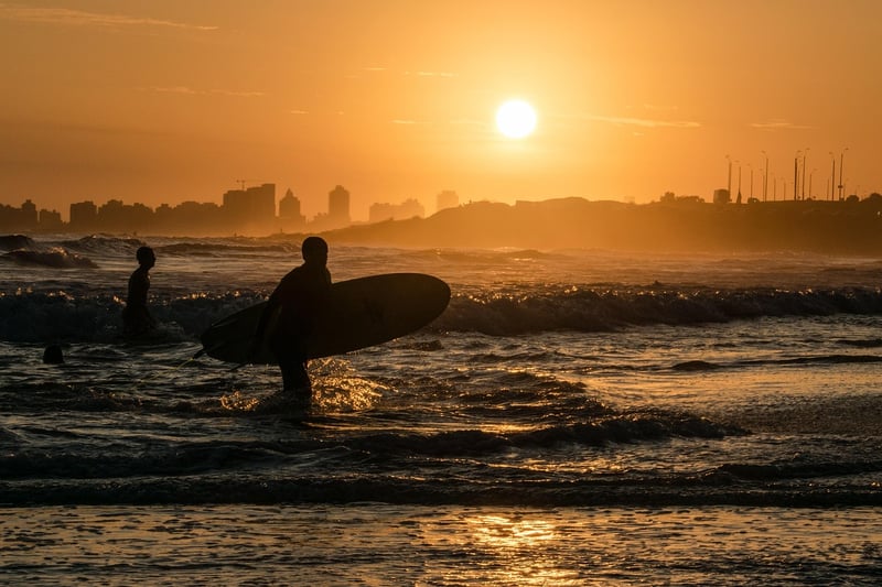Surfing Safari
